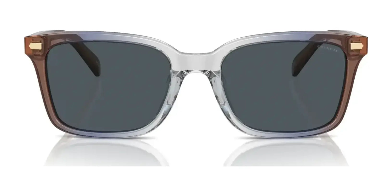 Coach CR630 HC8398U Sunglasses | Size 54 Coach CR630 HC8398U Sunglasses | Size 54