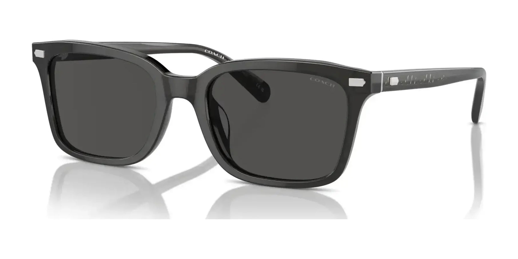 Coach CR630 HC8398U Sunglasses Transparent Dark Grey / Grey Solid Coach CR630 HC8398U Sunglasses Transparent Dark Grey / Grey Solid