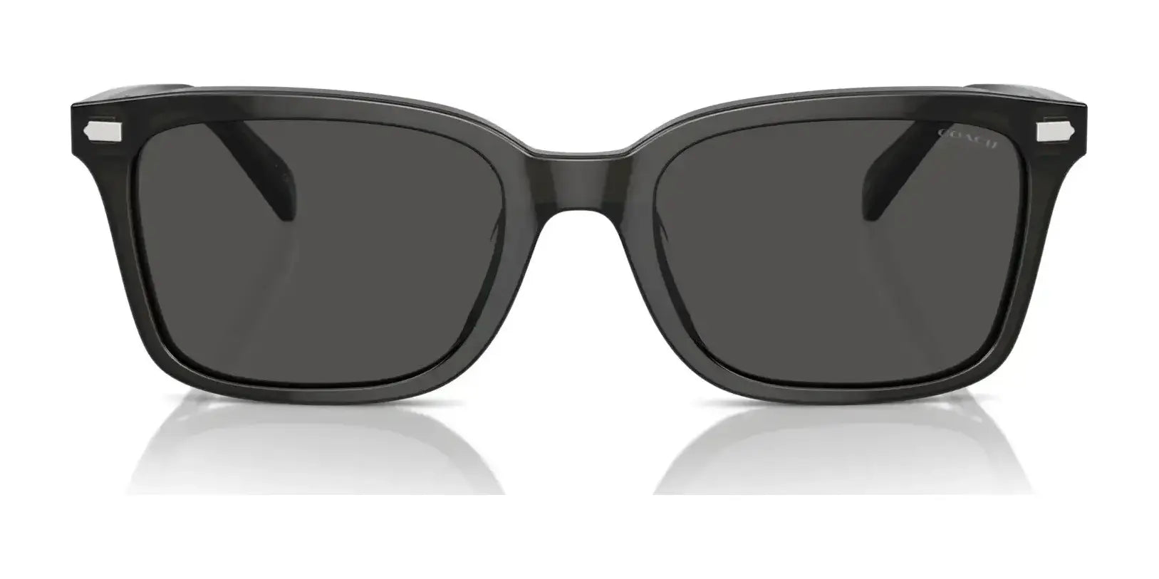 Coach CR630 HC8398U Sunglasses | Size 54 Coach CR630 HC8398U Sunglasses | Size 54