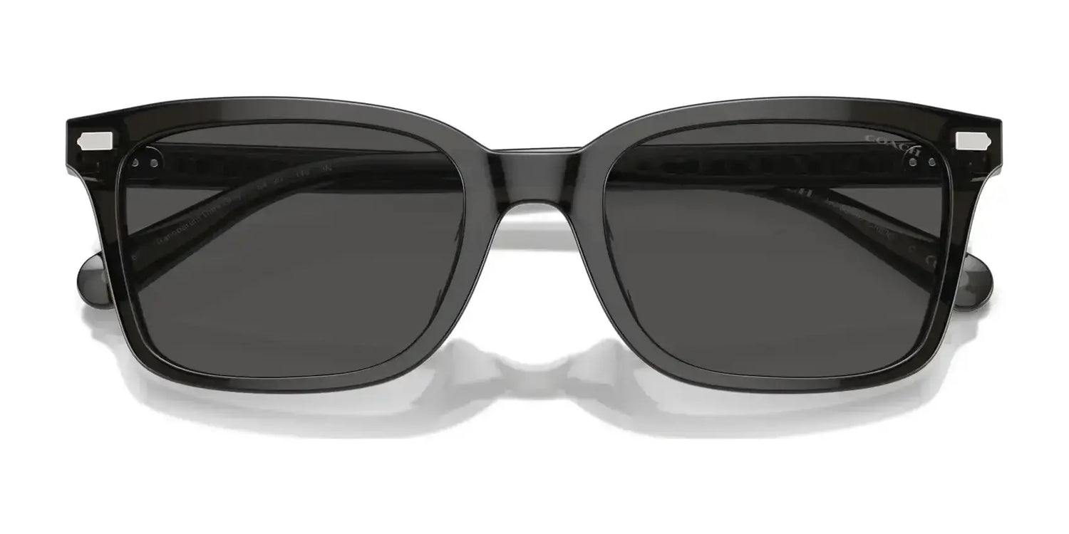 Coach CR630 HC8398U Sunglasses | Size 54 Coach CR630 HC8398U Sunglasses | Size 54