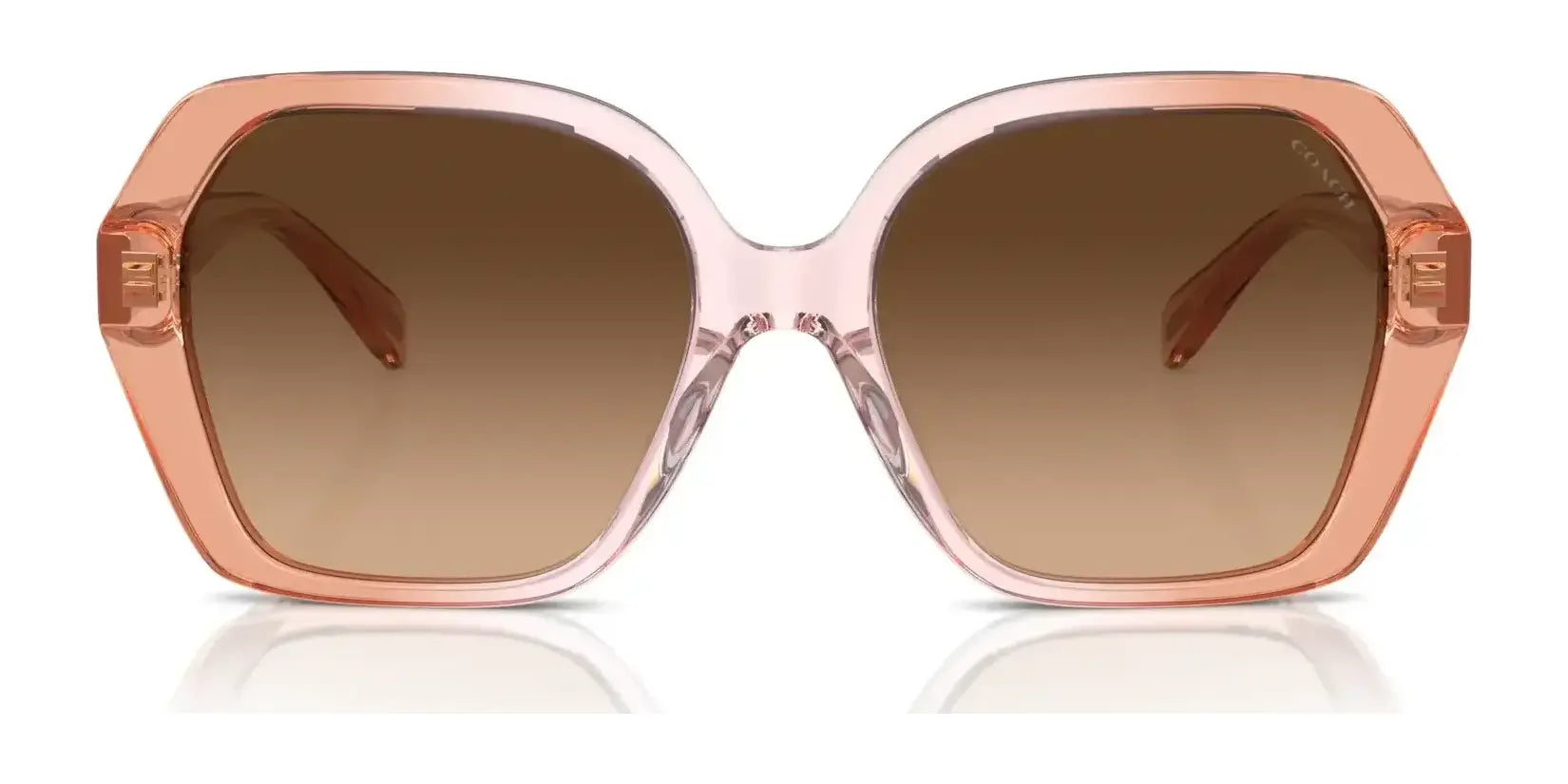 Coach CR615 HC8404U Sunglasses | Size 56 Coach CR615 HC8404U Sunglasses | Size 56