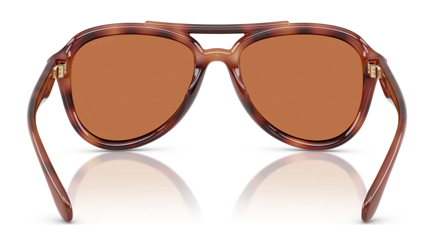 Coach CW183 HC8406U Sunglasses | Size 55 Coach CW183 HC8406U Sunglasses | Size 55