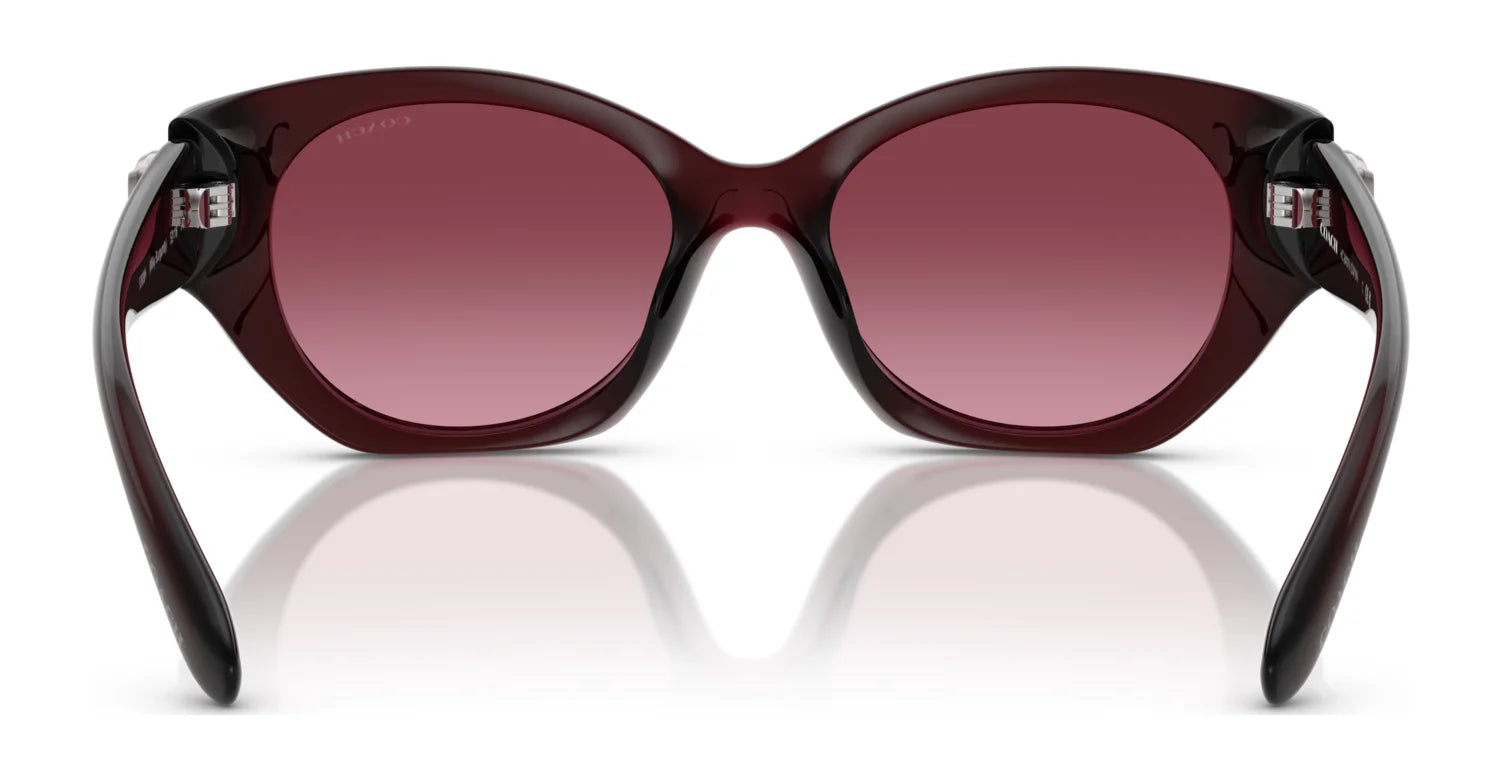 Coach CW194 HC8407U Sunglasses | Size 52 Coach CW194 HC8407U Sunglasses | Size 52