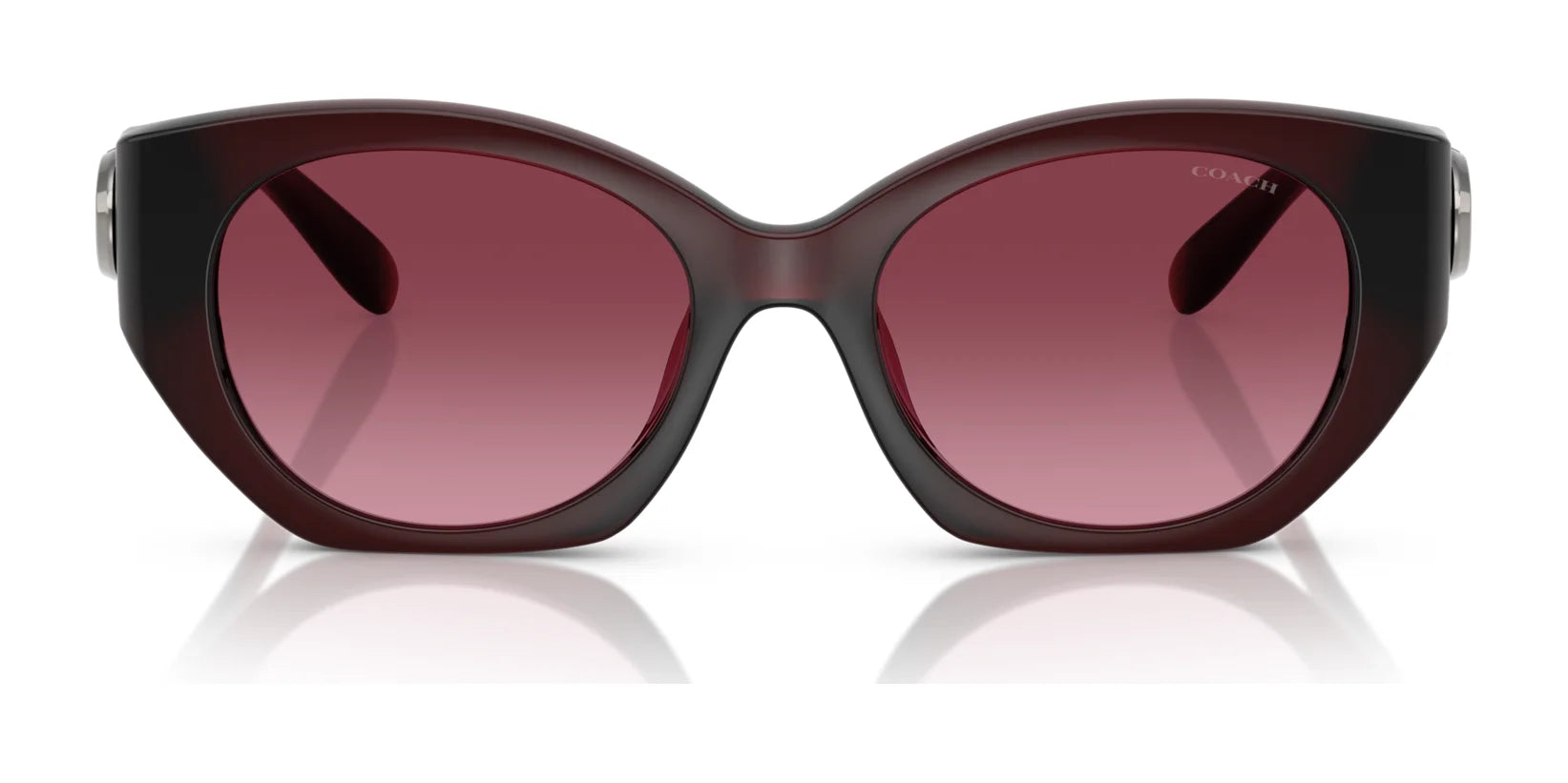 Coach CW194 HC8407U Sunglasses | Size 52 Coach CW194 HC8407U Sunglasses | Size 52