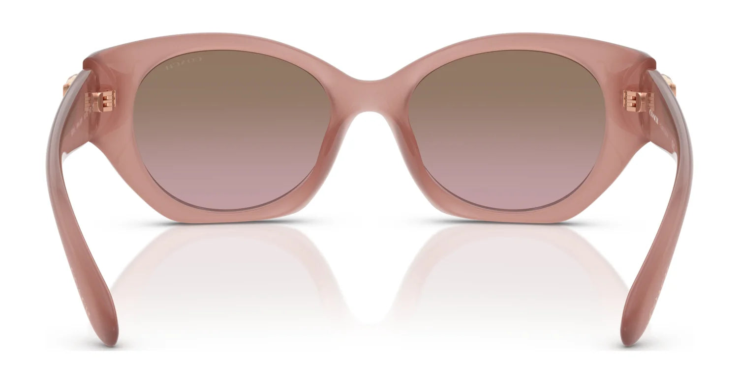 Coach CW194 HC8407U Sunglasses | Size 52 Coach CW194 HC8407U Sunglasses | Size 52