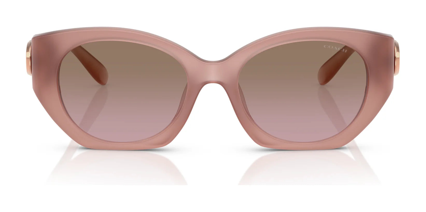 Coach CW194 HC8407U Sunglasses | Size 52 Coach CW194 HC8407U Sunglasses | Size 52