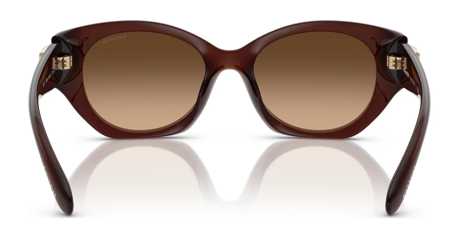 Coach CW194 HC8407U Sunglasses | Size 52 Coach CW194 HC8407U Sunglasses | Size 52