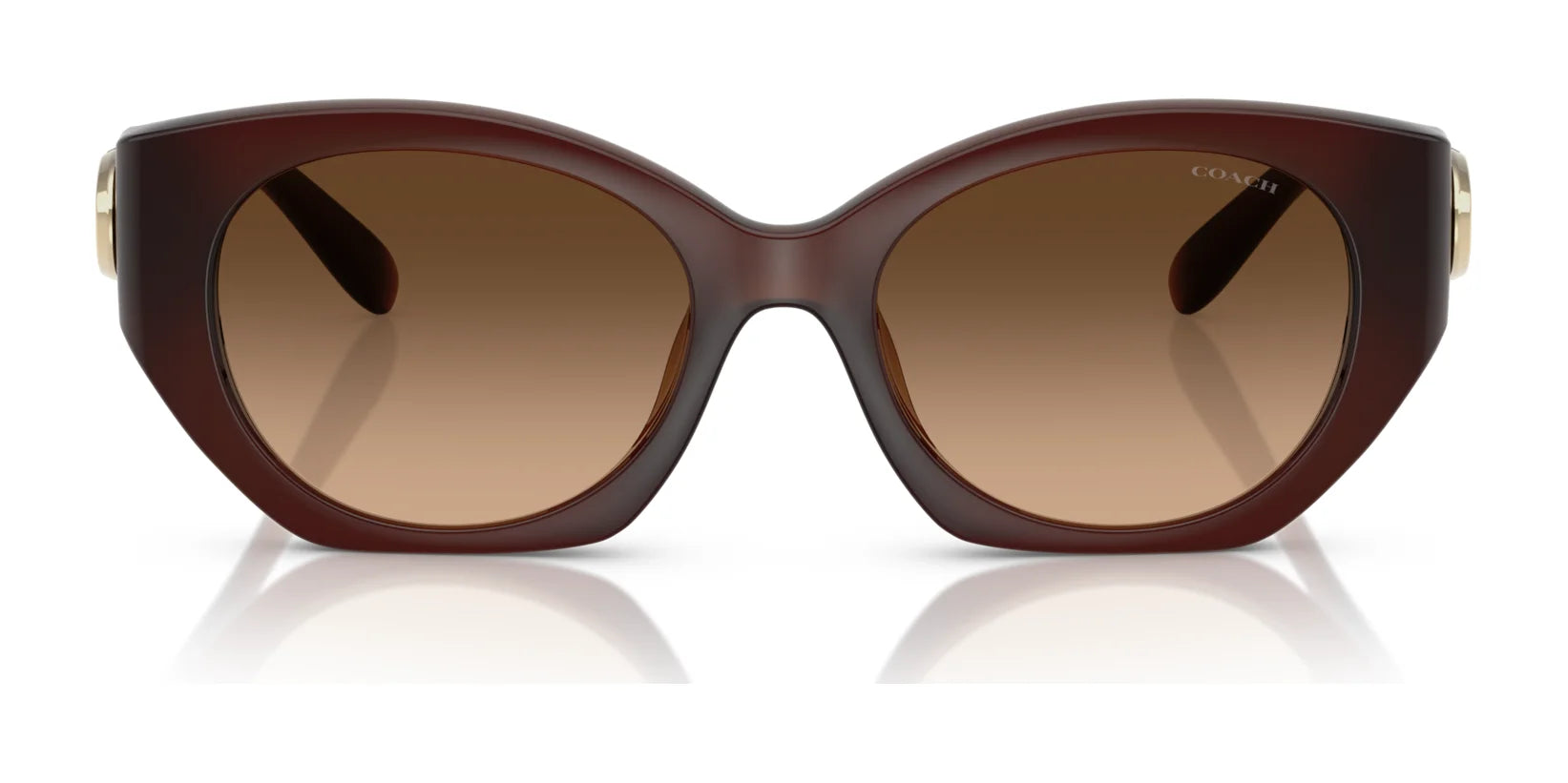 Coach CW194 HC8407U Sunglasses | Size 52 Coach CW194 HC8407U Sunglasses | Size 52