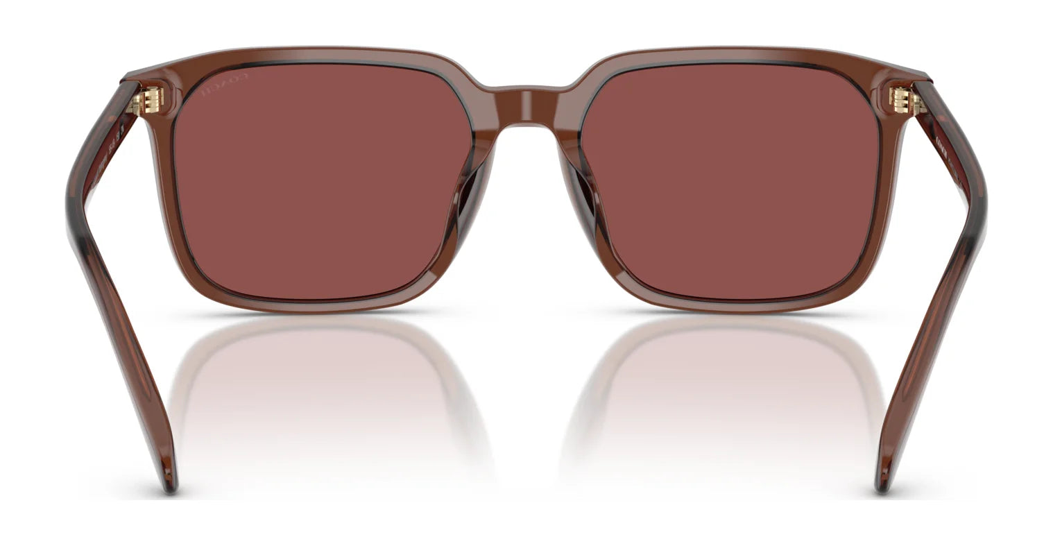 Coach CW405 HC8411U Sunglasses | Size 55 Coach CW405 HC8411U Sunglasses | Size 55