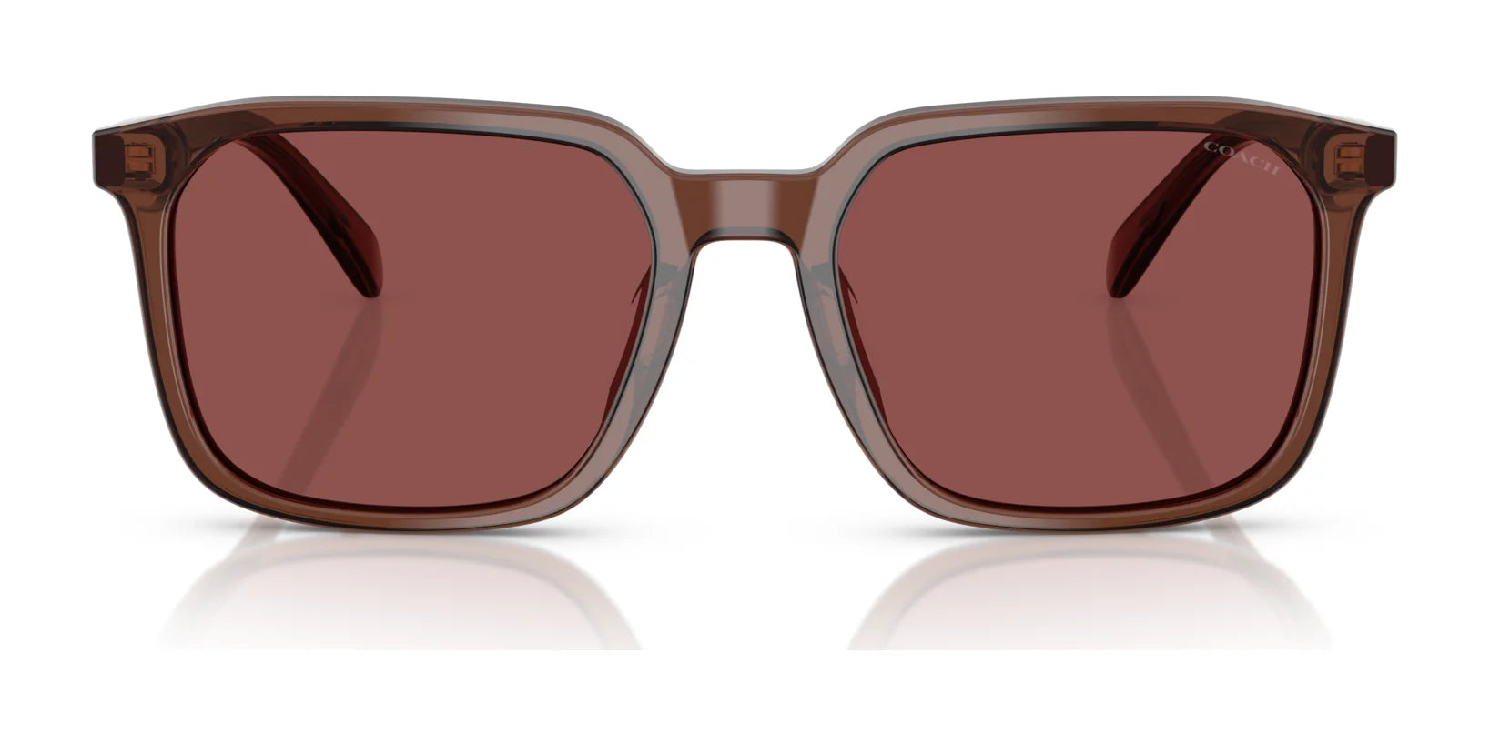 Coach CW405 HC8411U Sunglasses | Size 55 Coach CW405 HC8411U Sunglasses | Size 55