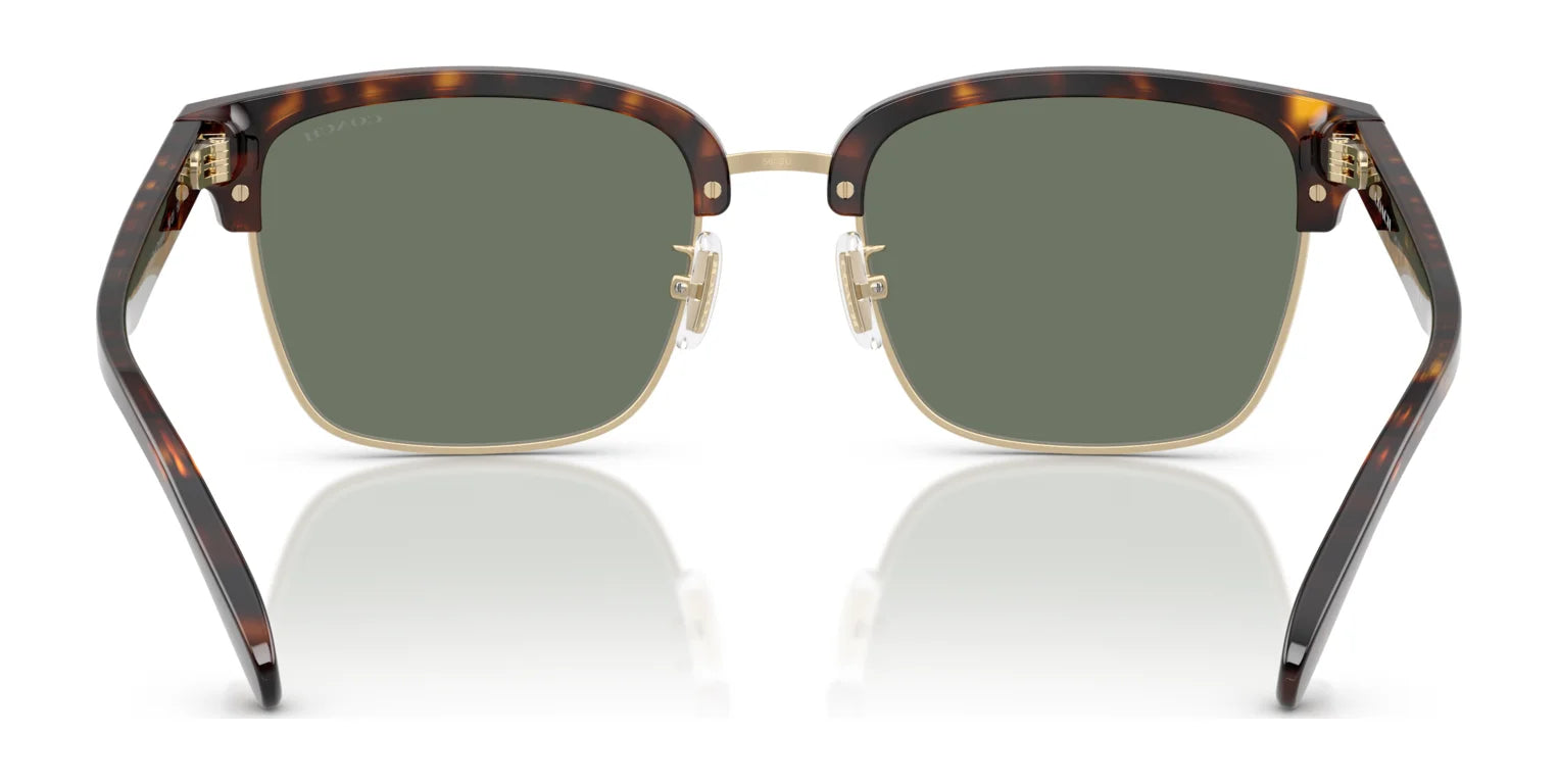 Coach CW406 HC8412 Sunglasses | Size 56 Coach CW406 HC8412 Sunglasses | Size 56