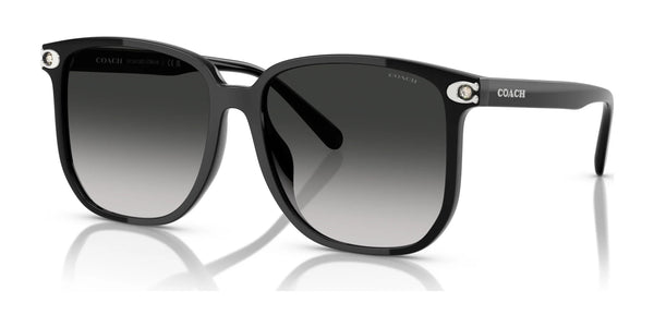 Coach CW419 HC8413BD Sunglasses | Size 58 / Black / Grey Gradient (3N 14.8%) №50023C