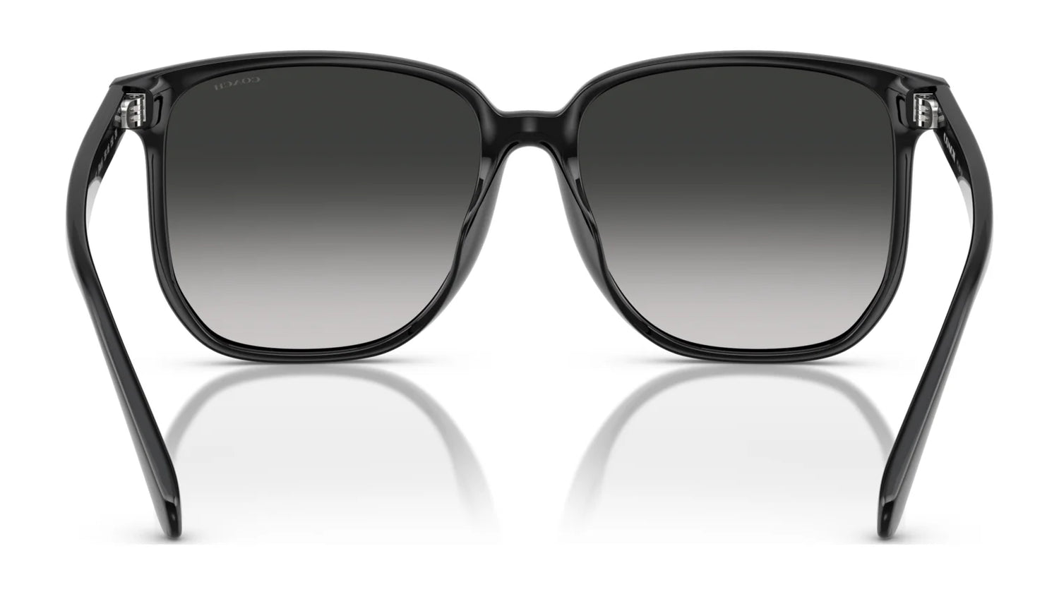 Coach CW419 HC8413BD Sunglasses | Size 58 Coach CW419 HC8413BD Sunglasses | Size 58