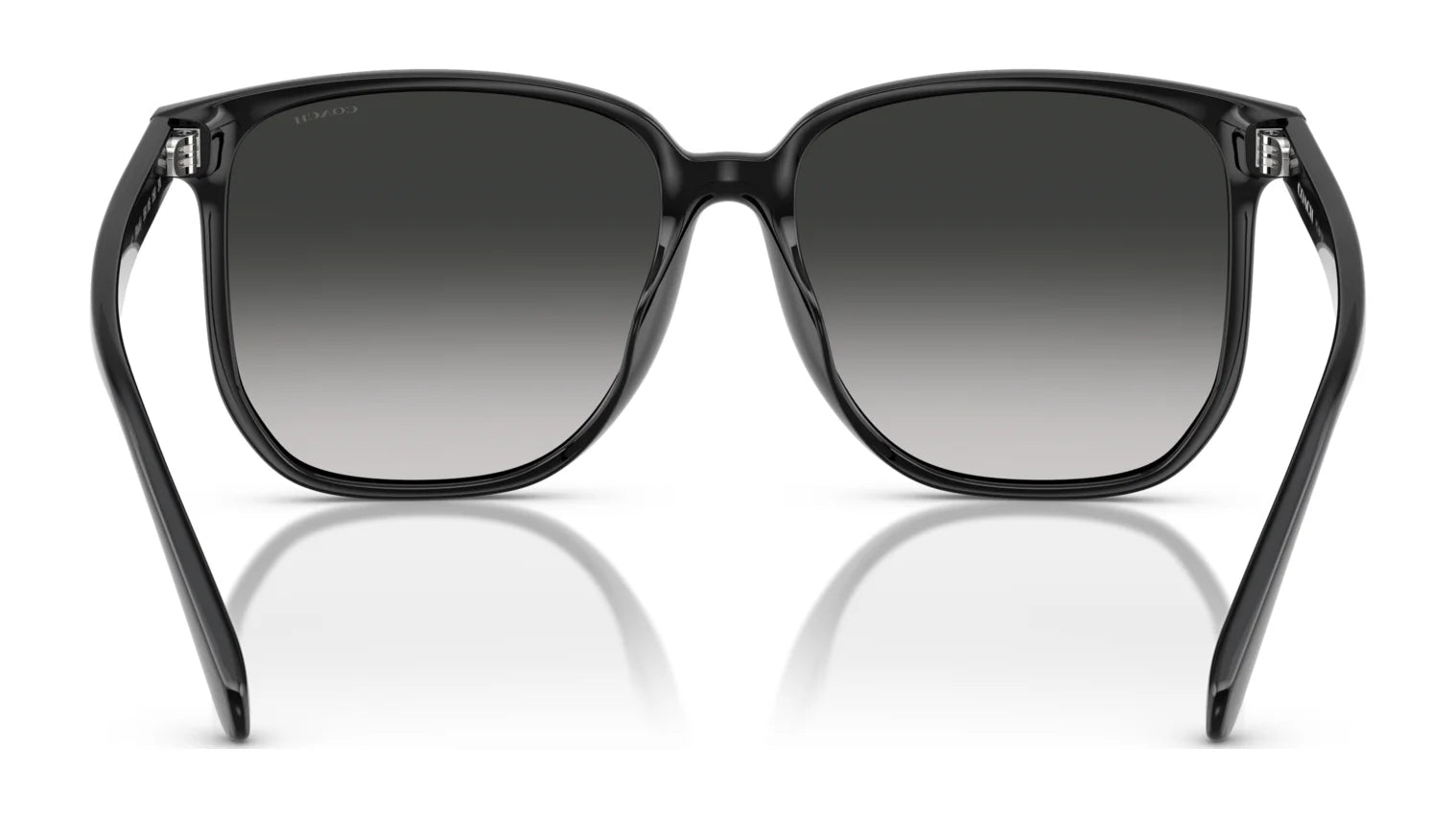 Coach CW419 HC8413BD Sunglasses | Size 58 Coach CW419 HC8413BD Sunglasses | Size 58
