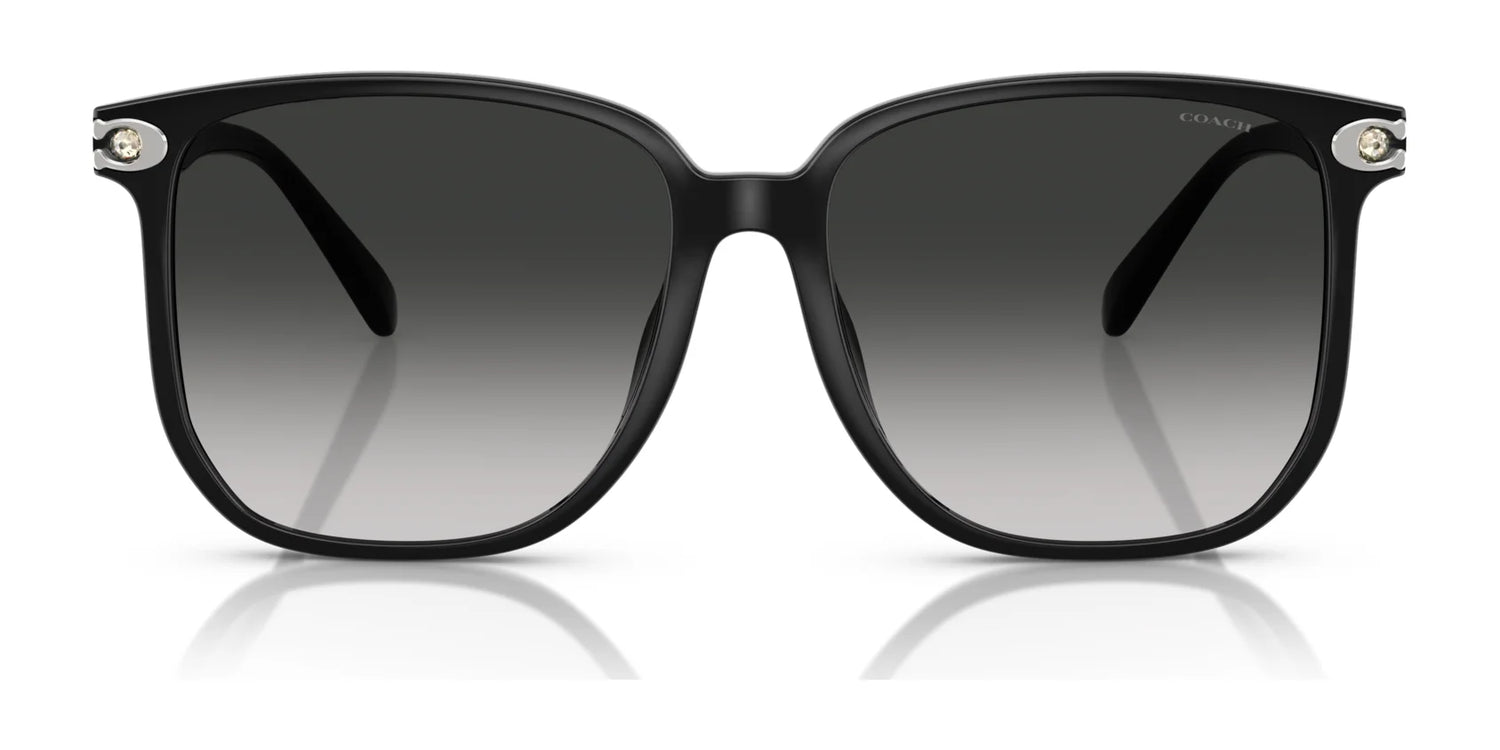 Coach CW419 HC8413BD Sunglasses | Size 58 Coach CW419 HC8413BD Sunglasses | Size 58