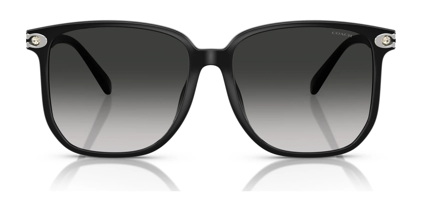 Coach CW419 HC8413BD Sunglasses | Size 58 Coach CW419 HC8413BD Sunglasses | Size 58