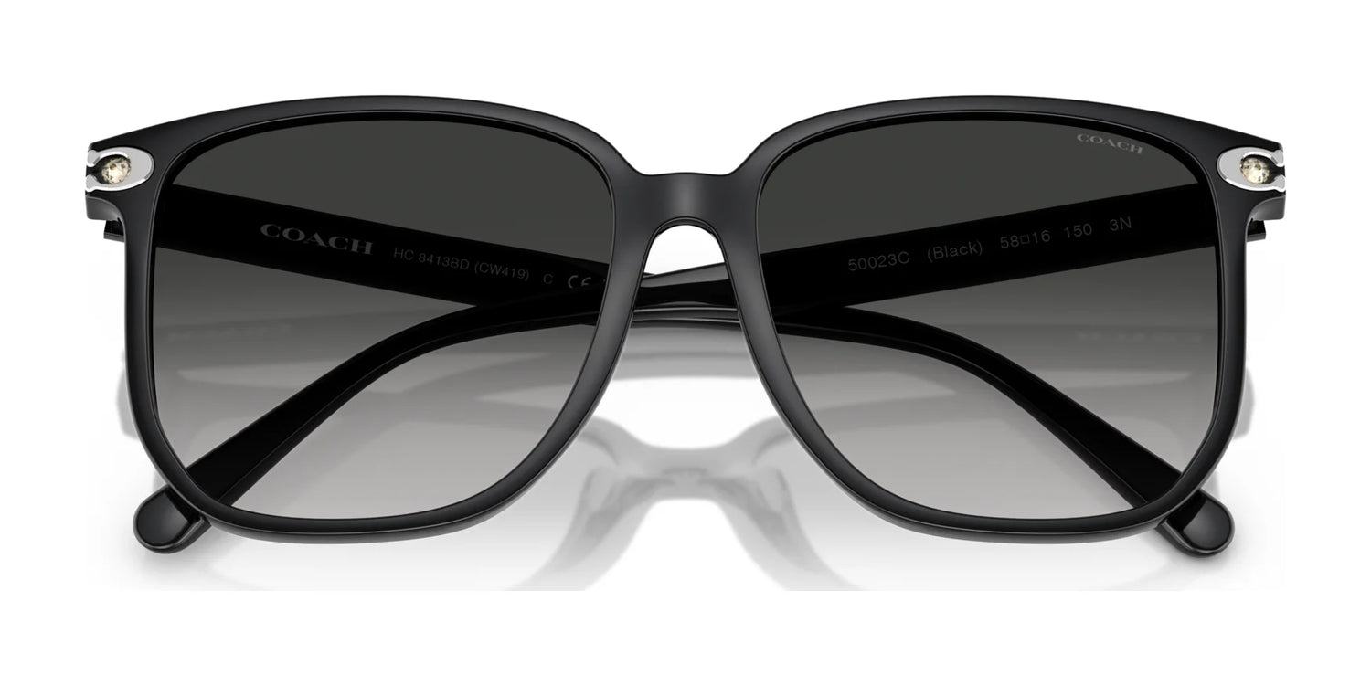 Coach CW419 HC8413BD Sunglasses | Size 58 Coach CW419 HC8413BD Sunglasses | Size 58