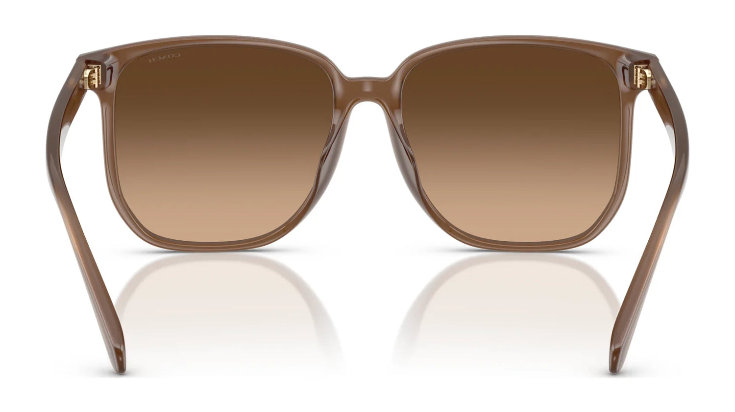 Coach CW419 HC8413BD Sunglasses | Size 58 Coach CW419 HC8413BD Sunglasses | Size 58