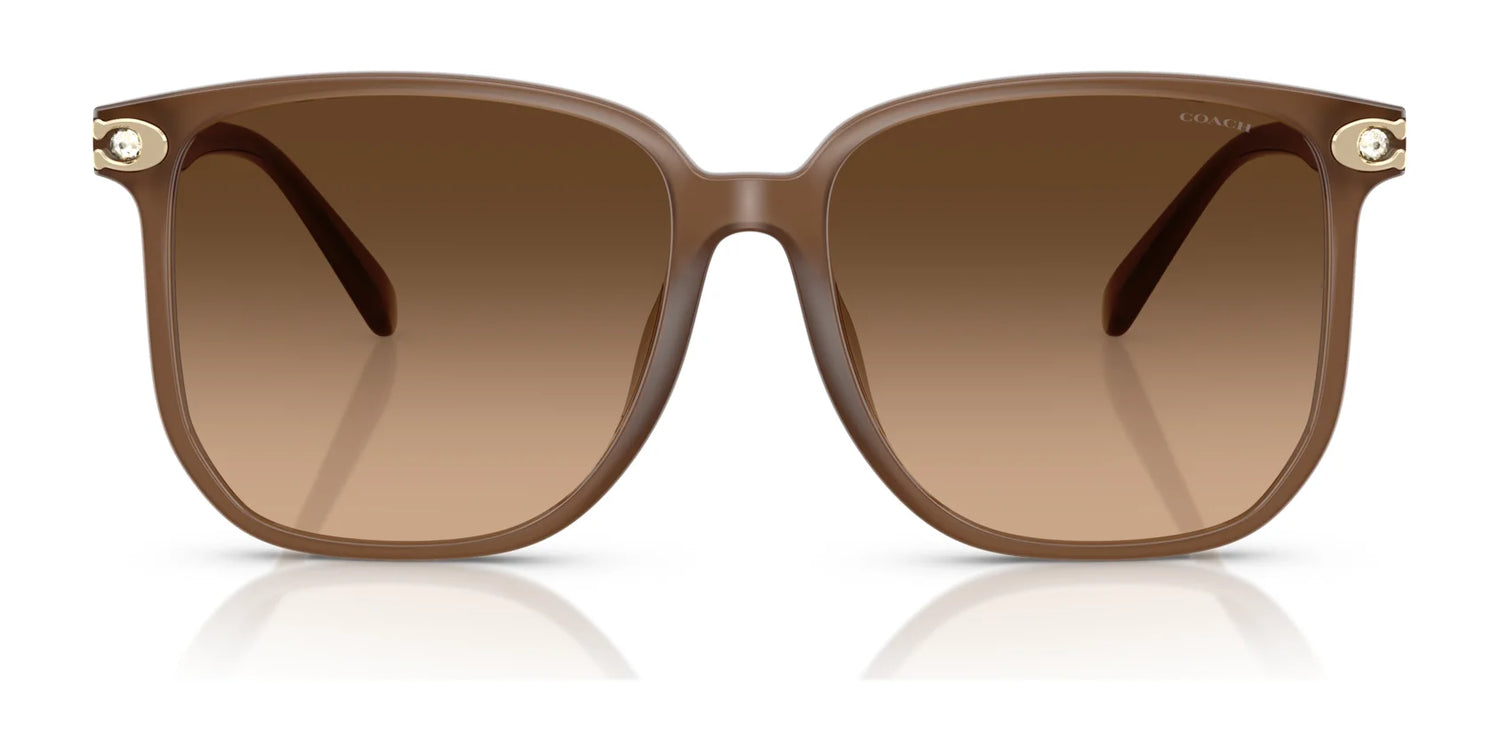 Coach CW419 HC8413BD Sunglasses | Size 58 Coach CW419 HC8413BD Sunglasses | Size 58