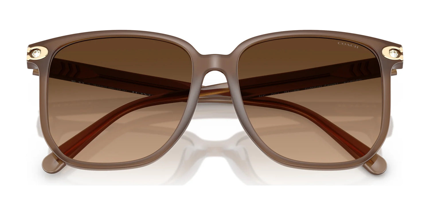 Coach CW419 HC8413BD Sunglasses | Size 58 Coach CW419 HC8413BD Sunglasses | Size 58