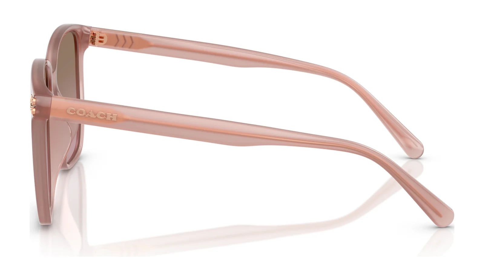 Coach CW419 HC8413BD Sunglasses | Size 58 Coach CW419 HC8413BD Sunglasses | Size 58