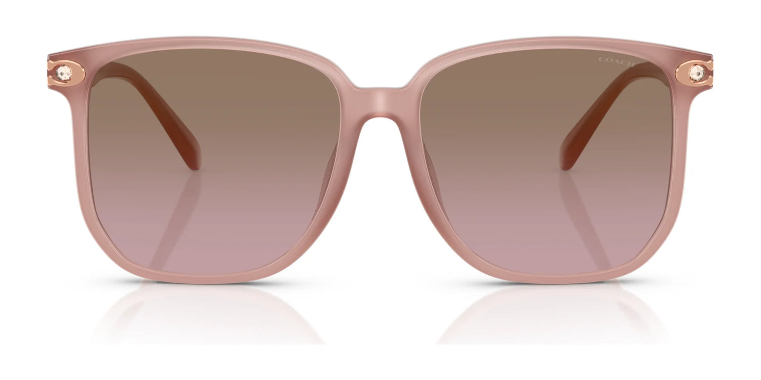 Coach CW419 HC8413BD Sunglasses | Size 58 Coach CW419 HC8413BD Sunglasses | Size 58