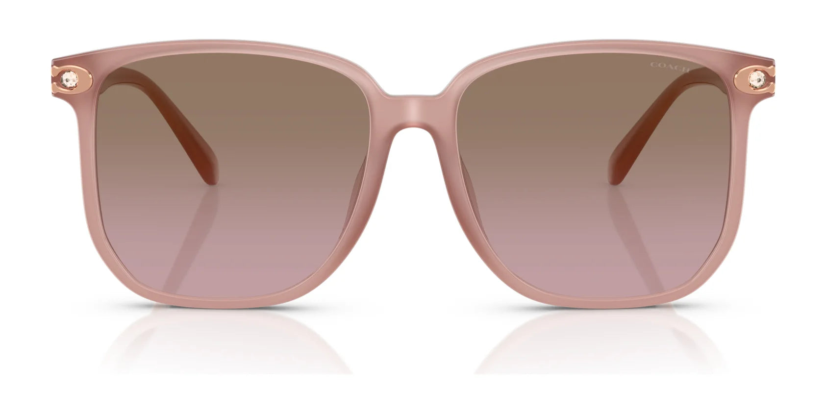 Coach CW419 HC8413BD Sunglasses | Size 58 Coach CW419 HC8413BD Sunglasses | Size 58