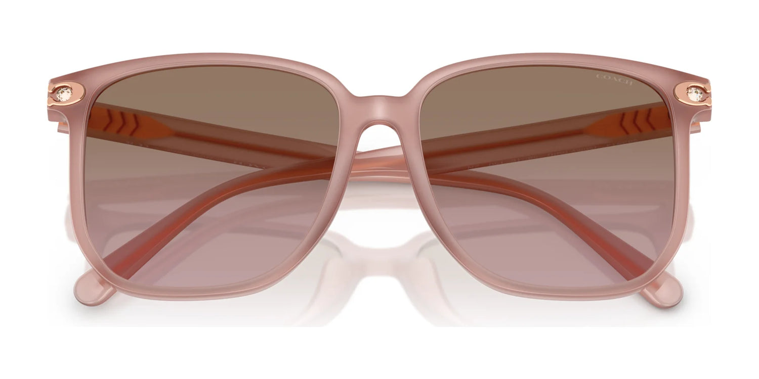 Coach CW419 HC8413BD Sunglasses | Size 58 Coach CW419 HC8413BD Sunglasses | Size 58