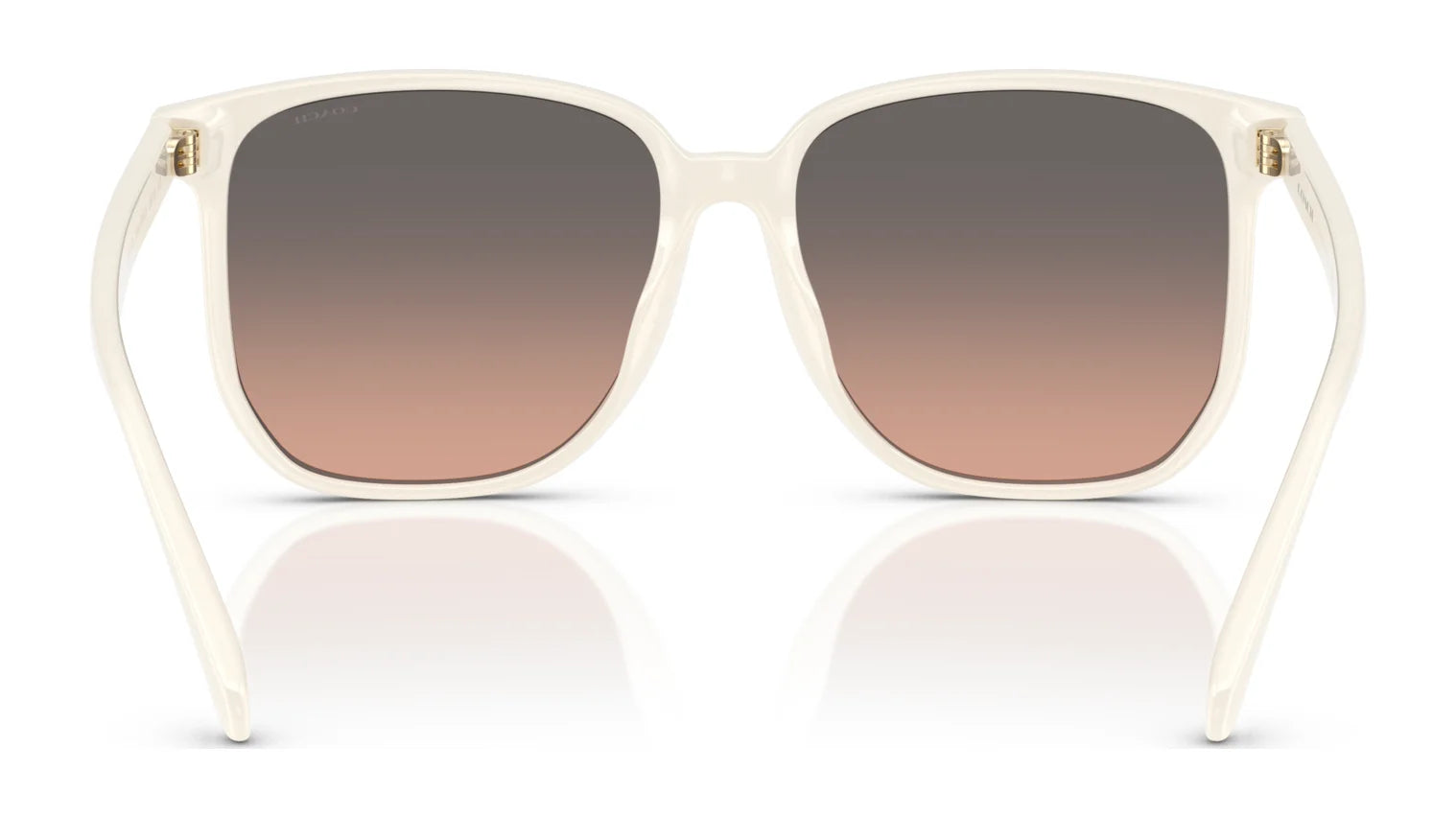 Coach CW419 HC8413BD Sunglasses | Size 58 Coach CW419 HC8413BD Sunglasses | Size 58