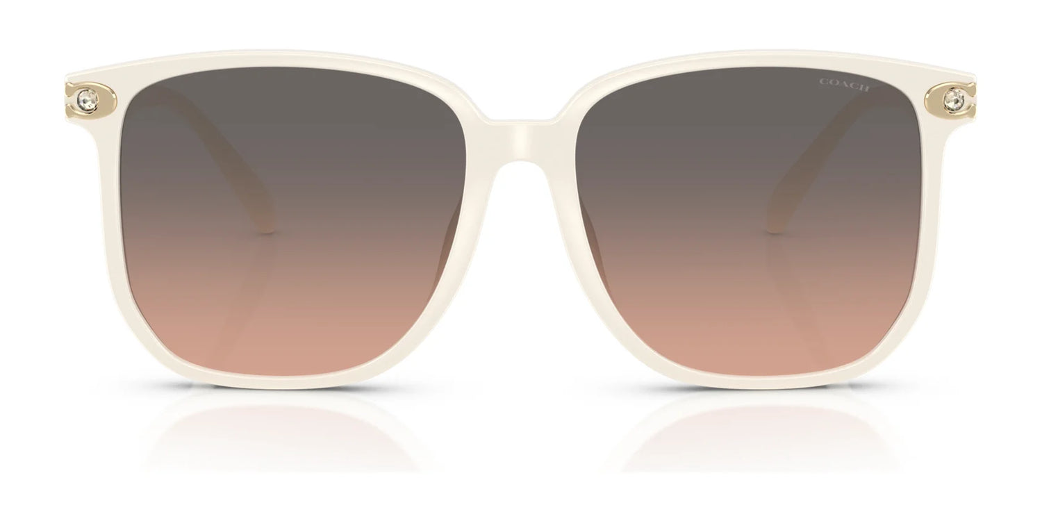 Coach CW419 HC8413BD Sunglasses | Size 58 Coach CW419 HC8413BD Sunglasses | Size 58