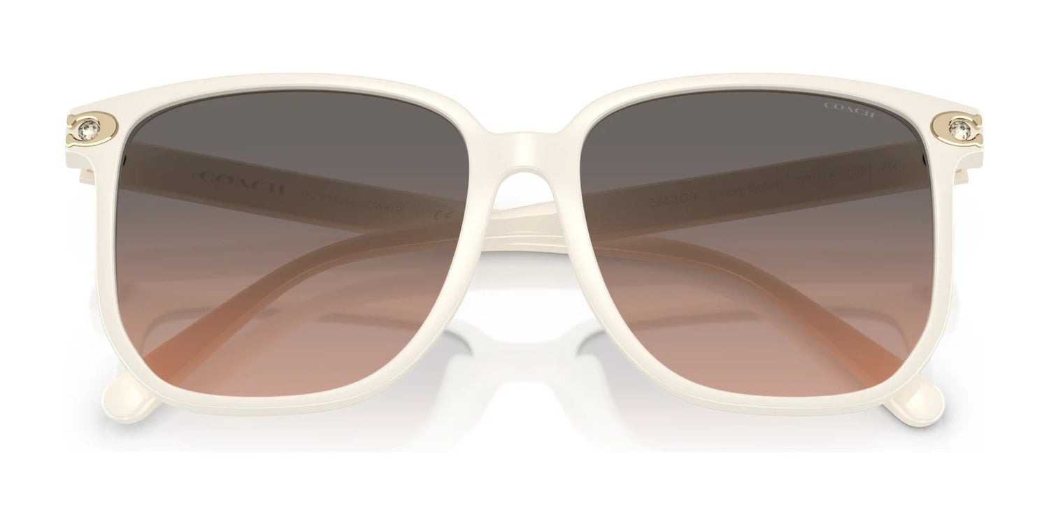 Coach CW419 HC8413BD Sunglasses | Size 58 Coach CW419 HC8413BD Sunglasses | Size 58