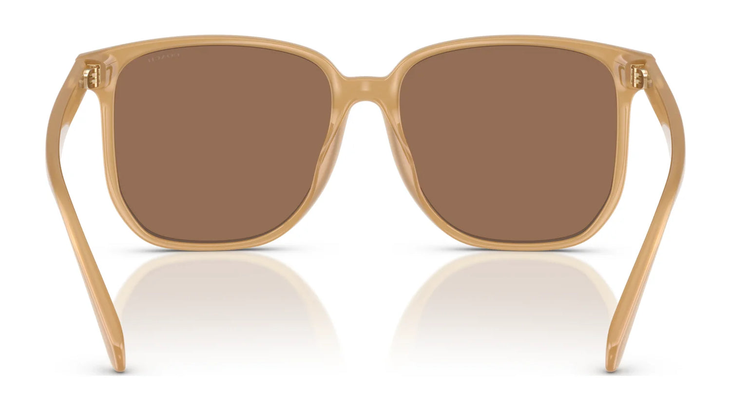 Coach CW419 HC8413BD Sunglasses | Size 58 Coach CW419 HC8413BD Sunglasses | Size 58
