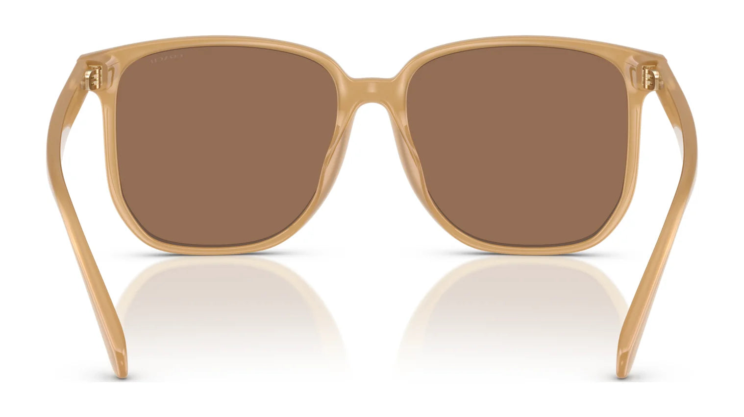 Coach CW419 HC8413BD Sunglasses | Size 58 Coach CW419 HC8413BD Sunglasses | Size 58