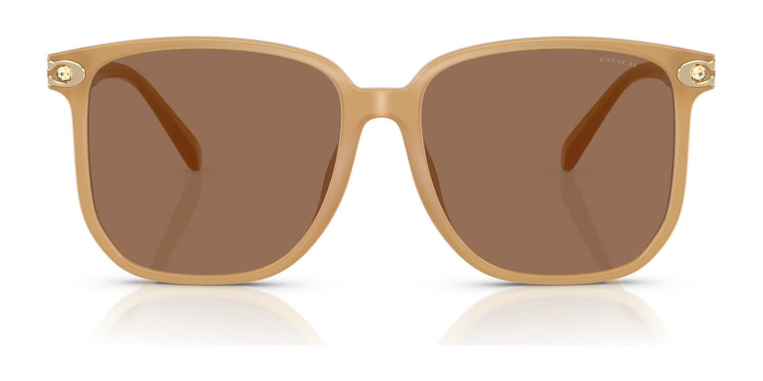 Coach CW419 HC8413BD Sunglasses | Size 58 Coach CW419 HC8413BD Sunglasses | Size 58
