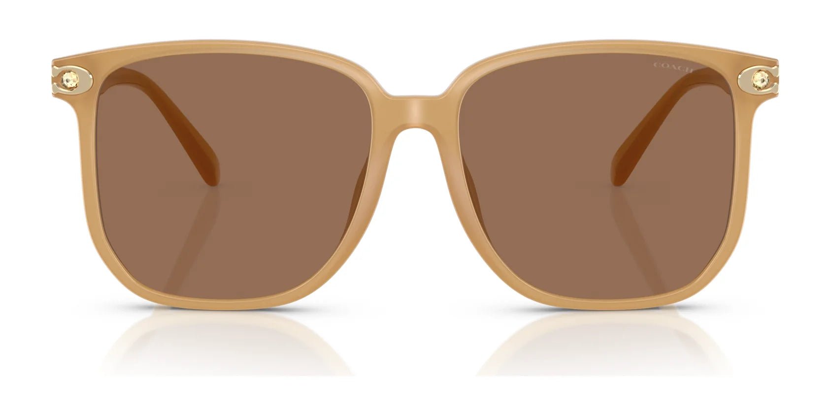 Coach CW419 HC8413BD Sunglasses | Size 58 Coach CW419 HC8413BD Sunglasses | Size 58