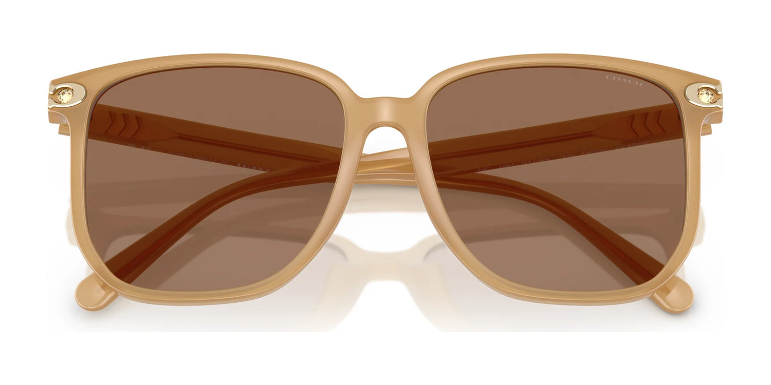 Coach CW419 HC8413BD Sunglasses | Size 58 Coach CW419 HC8413BD Sunglasses | Size 58