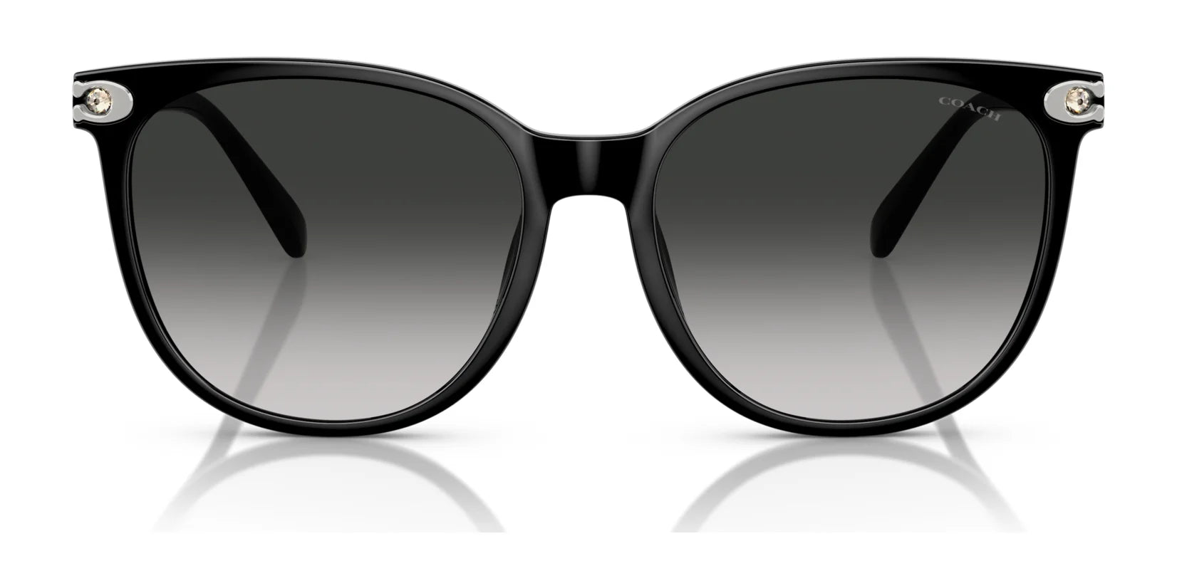 Coach CW428 HC8414BD Sunglasses | Size 57 Coach CW428 HC8414BD Sunglasses | Size 57