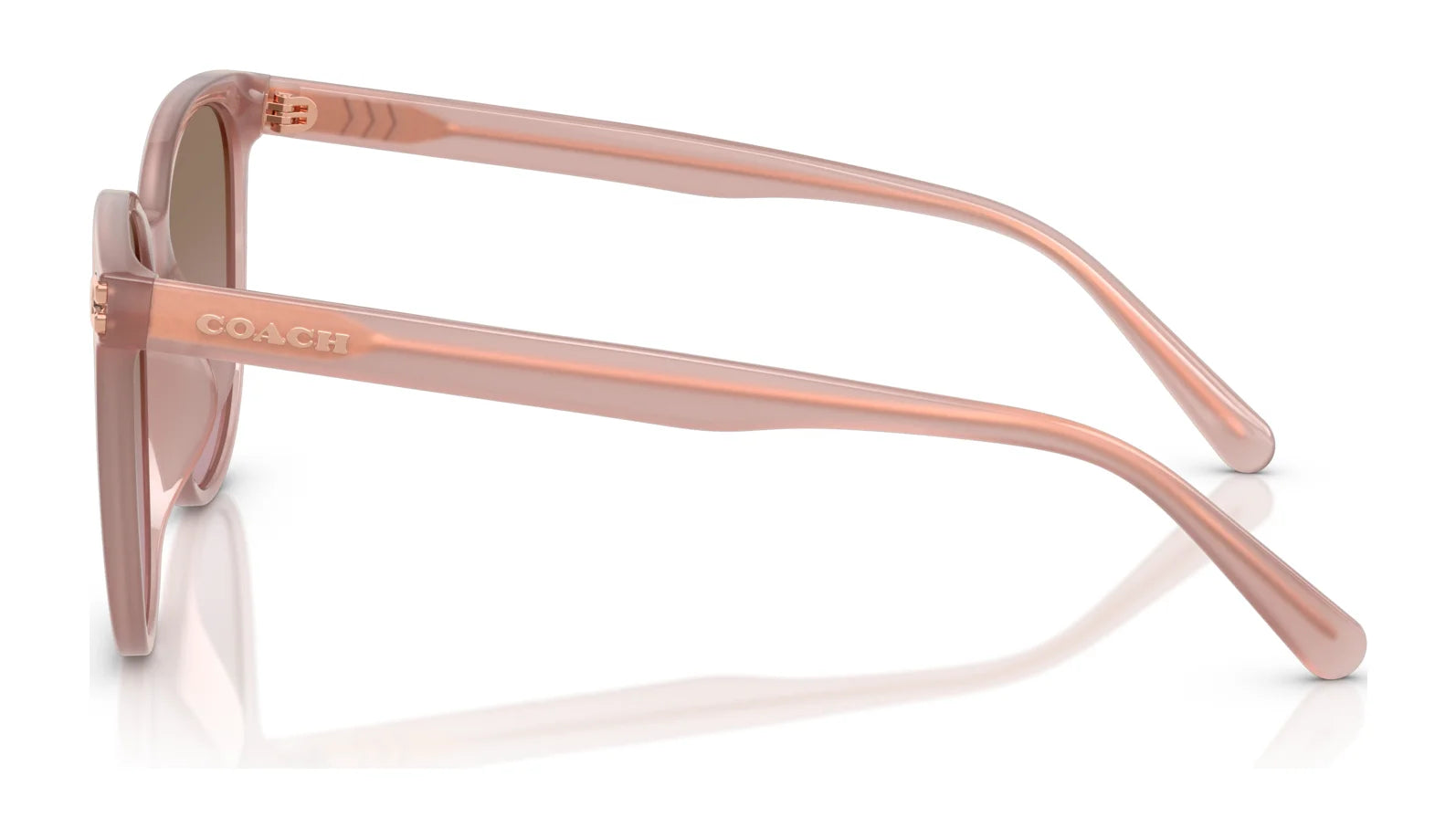 Coach CW428 HC8414BD Sunglasses | Size 57 Coach CW428 HC8414BD Sunglasses | Size 57