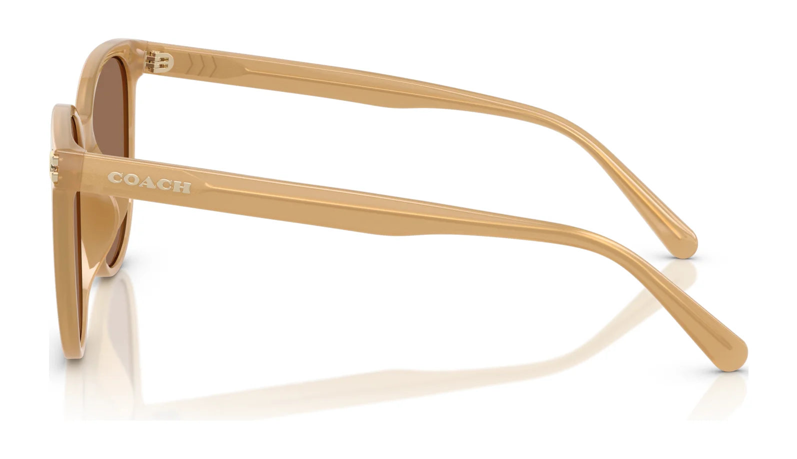 Coach CW428 HC8414BD Sunglasses | Size 57 Coach CW428 HC8414BD Sunglasses | Size 57