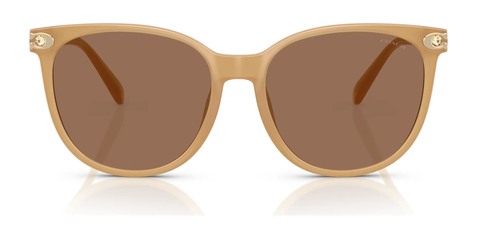 Coach CW428 HC8414BD Sunglasses | Size 57 Coach CW428 HC8414BD Sunglasses | Size 57