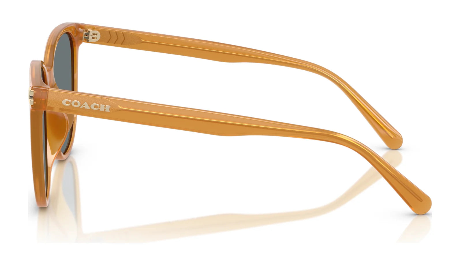 Coach CW428 HC8414BD Sunglasses | Size 57 Coach CW428 HC8414BD Sunglasses | Size 57