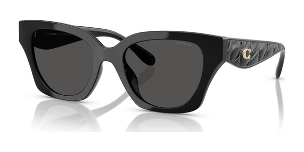 Coach CAD18 HC8418U Sunglasses | Size 53 / Black / Grey Solid (3N 10%) №500287