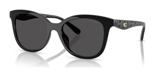 Coach CAD25 HC8419U Sunglasses | Size 55 / Black / Grey Solid (3N 10%) №500287