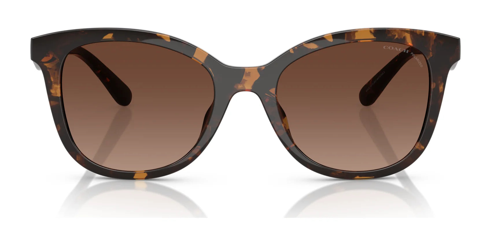 Coach CAD25 HC8419U Sunglasses | Size 55 Coach CAD25 HC8419U Sunglasses | Size 55