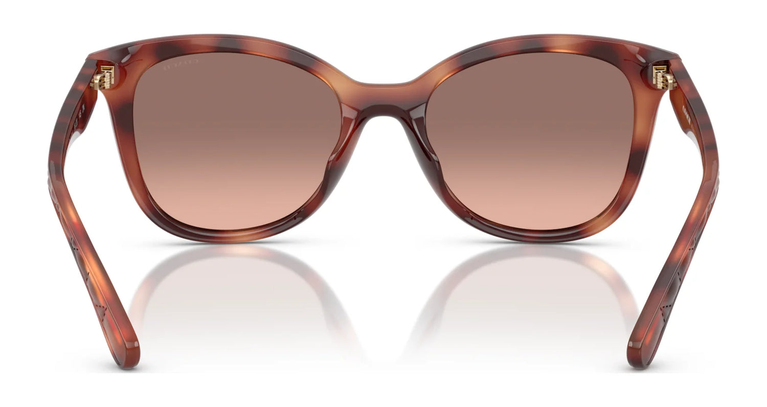 Coach CAD25 HC8419U Sunglasses | Size 55 Coach CAD25 HC8419U Sunglasses | Size 55