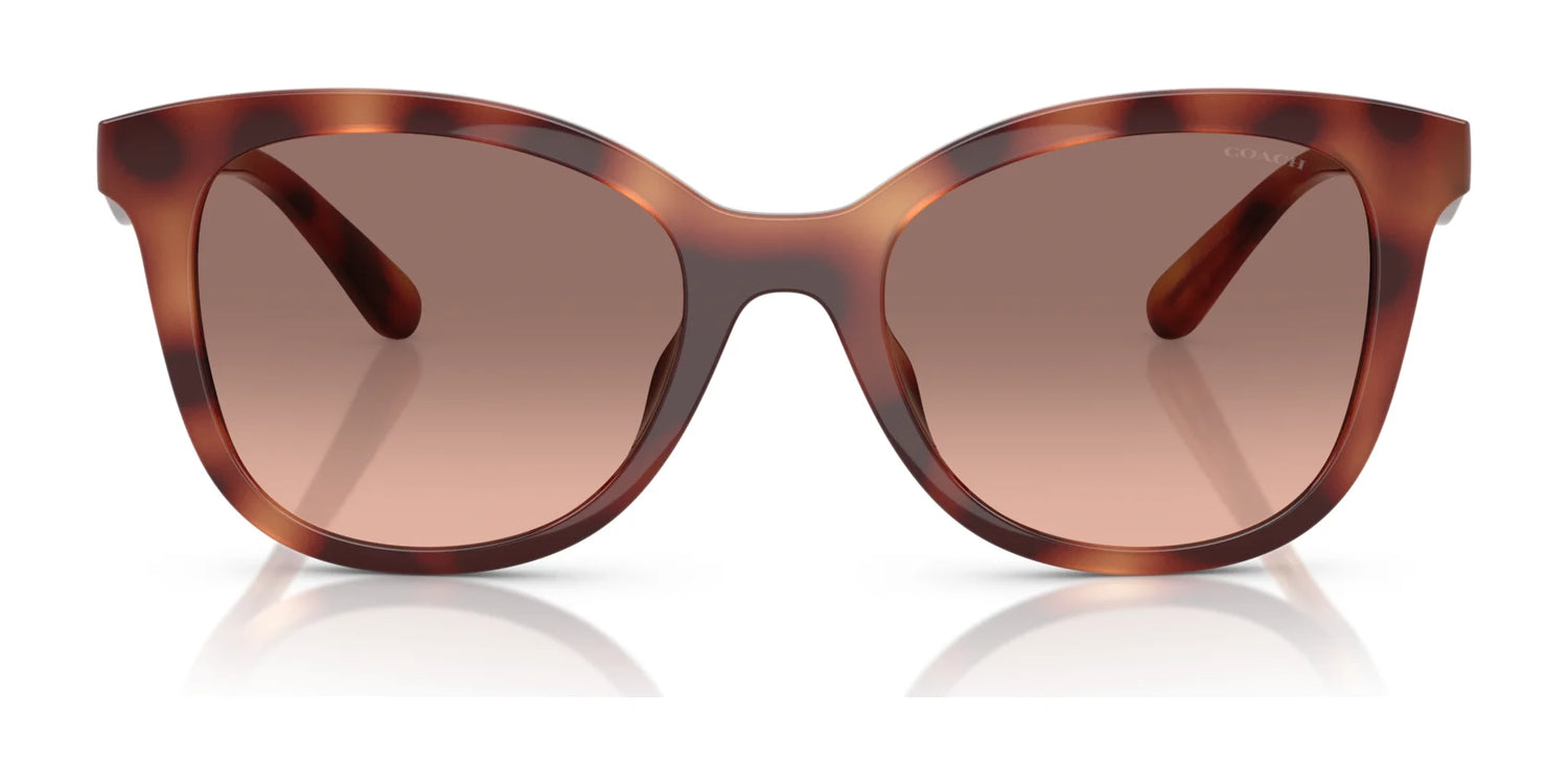 Coach CAD25 HC8419U Sunglasses | Size 55 Coach CAD25 HC8419U Sunglasses | Size 55