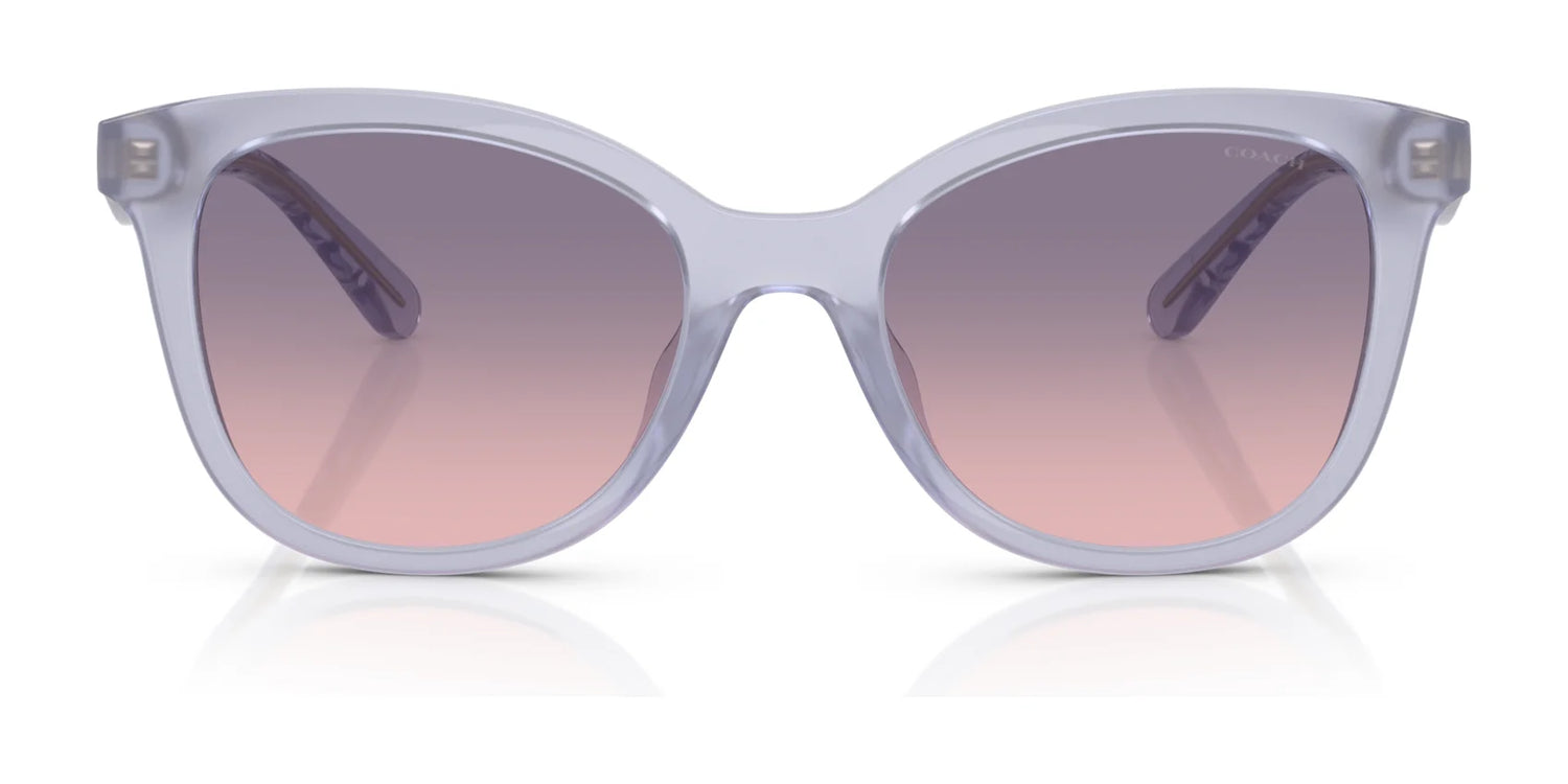 Coach CAD25 HC8419U Sunglasses | Size 55 Coach CAD25 HC8419U Sunglasses | Size 55