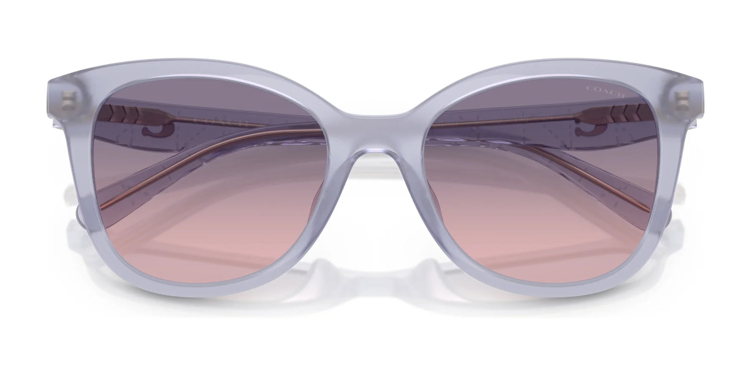 Coach CAD25 HC8419U Sunglasses | Size 55 Coach CAD25 HC8419U Sunglasses | Size 55