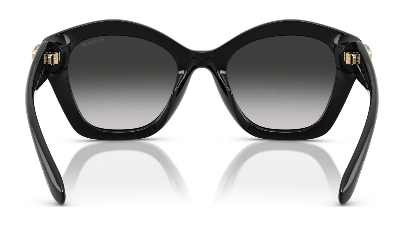 Coach CAD31 HC8421U Sunglasses | Size 54 Coach CAD31 HC8421U Sunglasses | Size 54