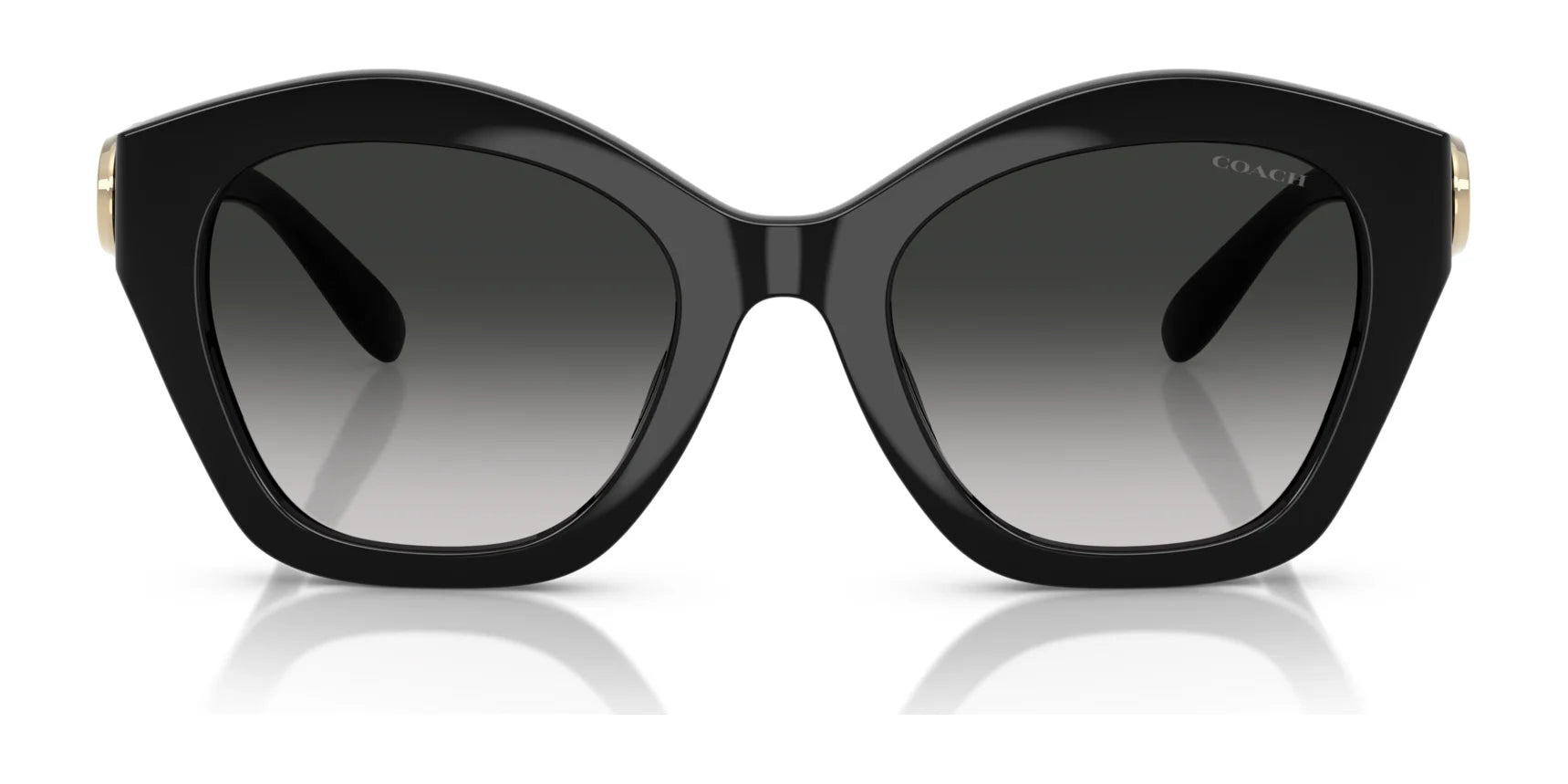 Coach CAD31 HC8421U Sunglasses | Size 54 Coach CAD31 HC8421U Sunglasses | Size 54